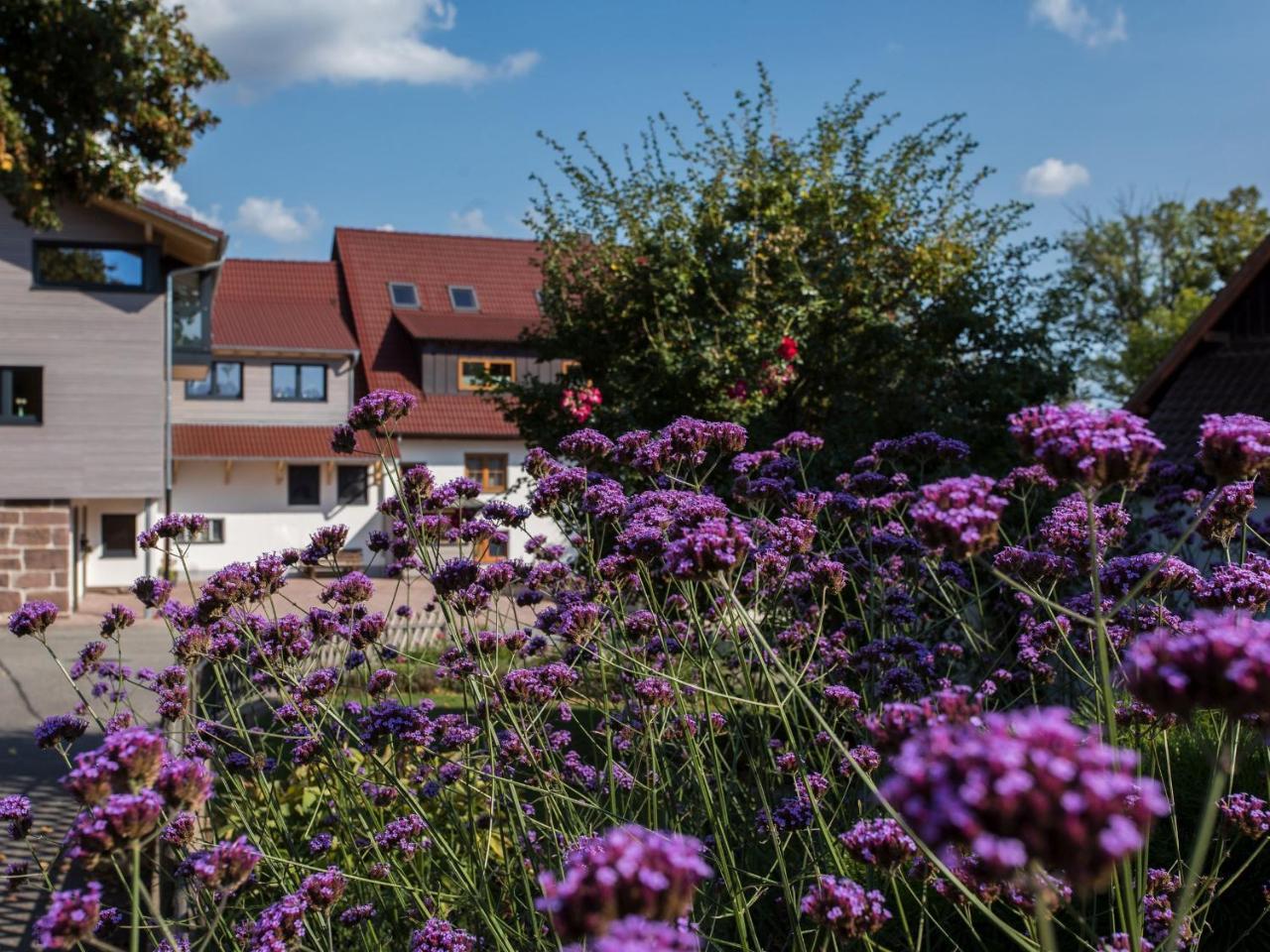 Saunaloft Schwarzwald Gemeinde Gemeinde Aichhalden Zewnętrze zdjęcie