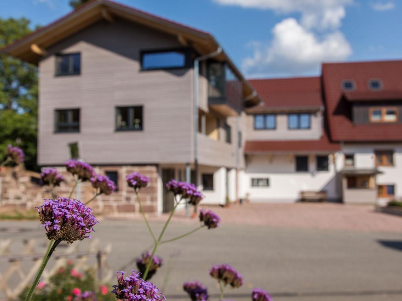 Saunaloft Schwarzwald Gemeinde Gemeinde Aichhalden Zewnętrze zdjęcie