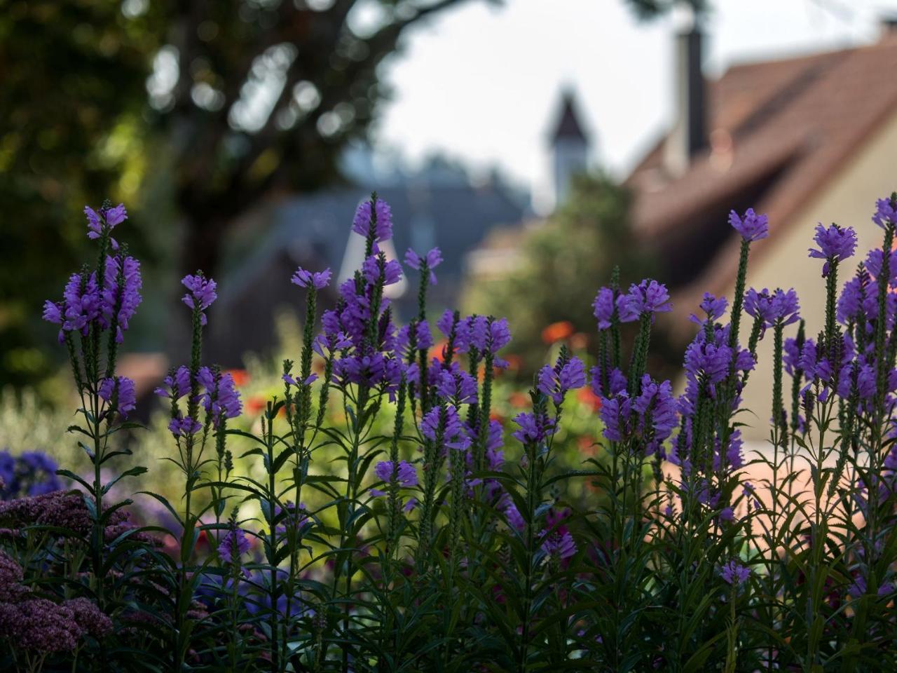 Saunaloft Schwarzwald Gemeinde Gemeinde Aichhalden Zewnętrze zdjęcie