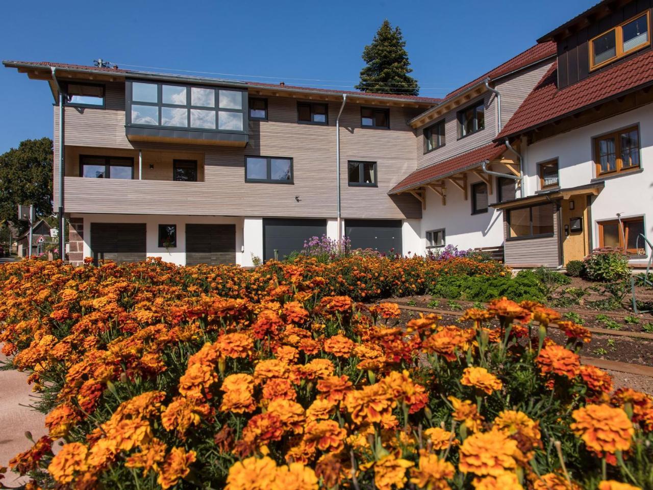 Saunaloft Schwarzwald Gemeinde Gemeinde Aichhalden Zewnętrze zdjęcie